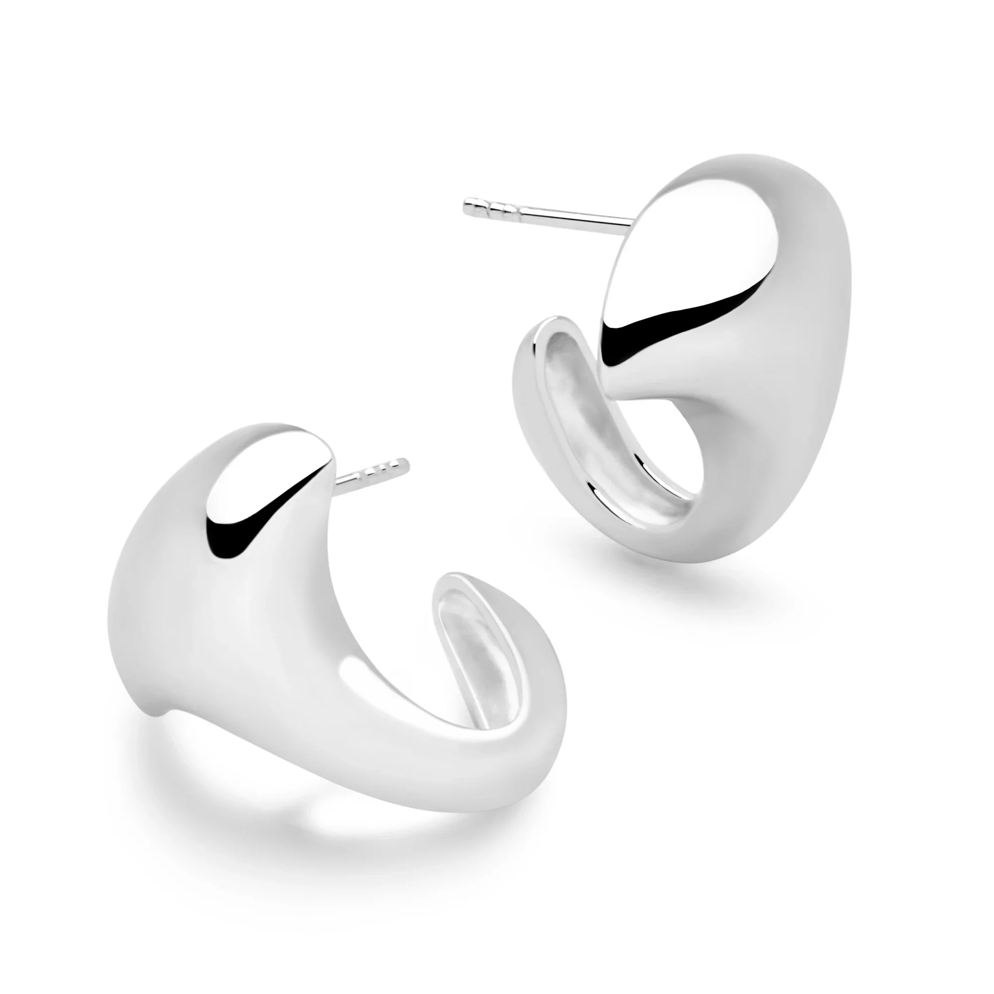 Silver Whale Earrings